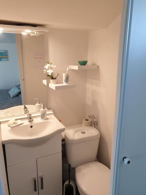 Appartement Duplexe De 1 A 4 Chambres Privees Dans Maison Le Teil Экстерьер фото