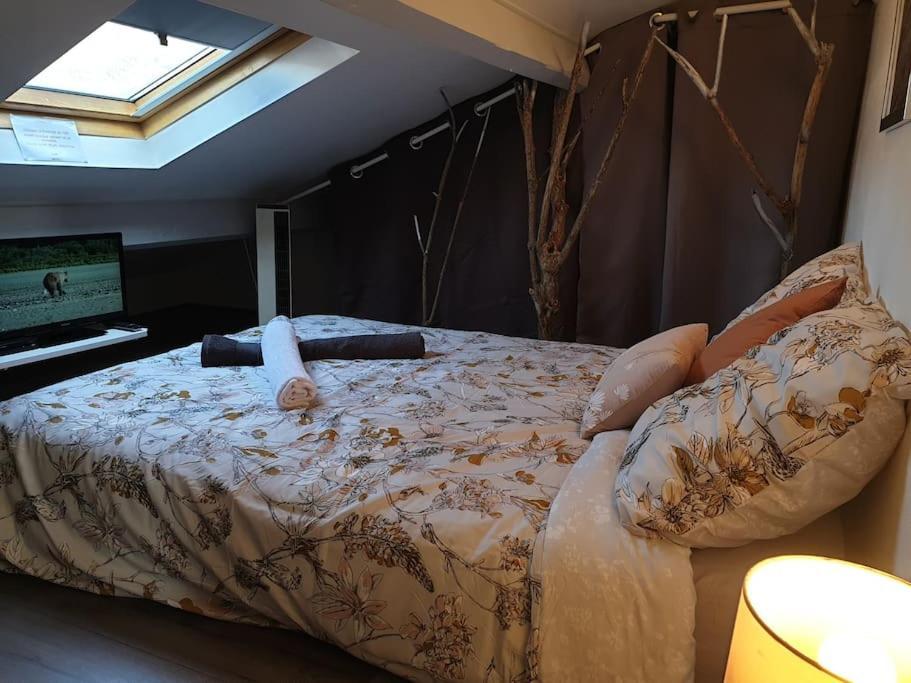Appartement Duplexe De 1 A 4 Chambres Privees Dans Maison Le Teil Экстерьер фото